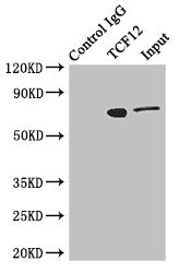 CSB-PA023293ESR1HU