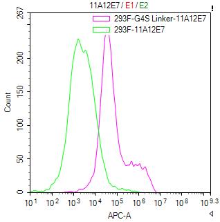 CSB-MA186062I1m FC