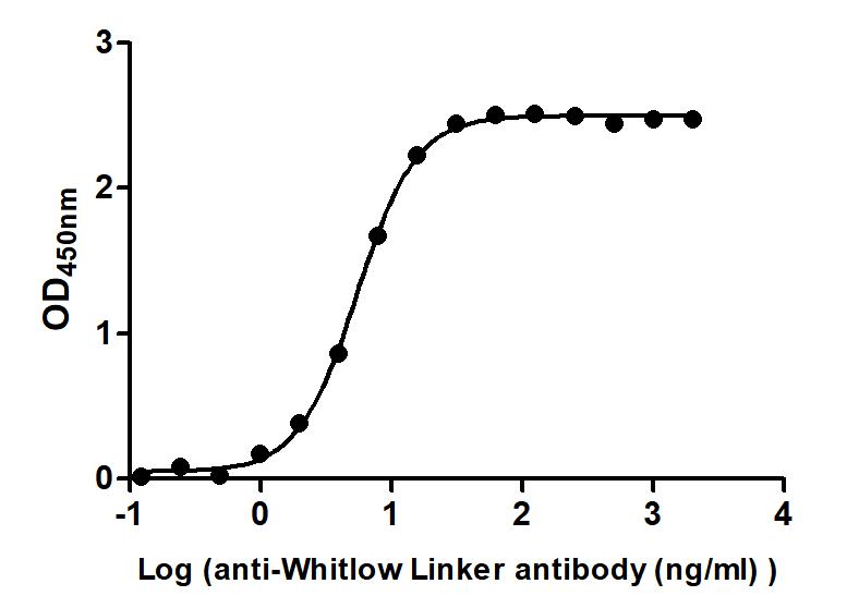 CSB-MA234468A0m ELISA