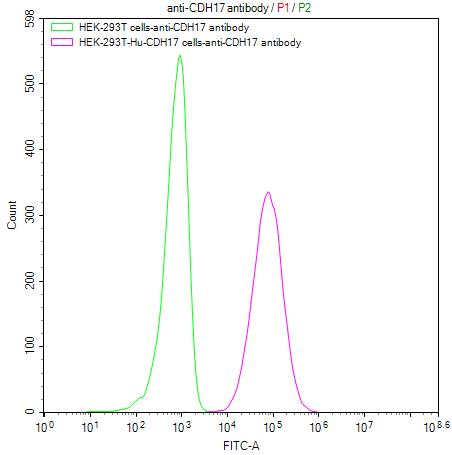 CSB-MP613267HU FC