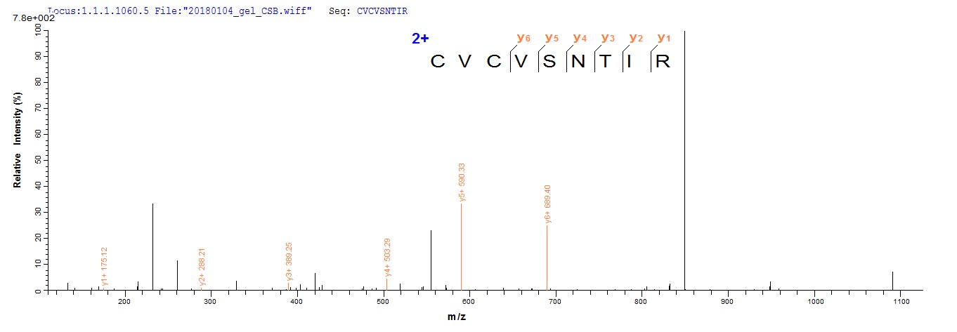 CSB-EP002058HU1