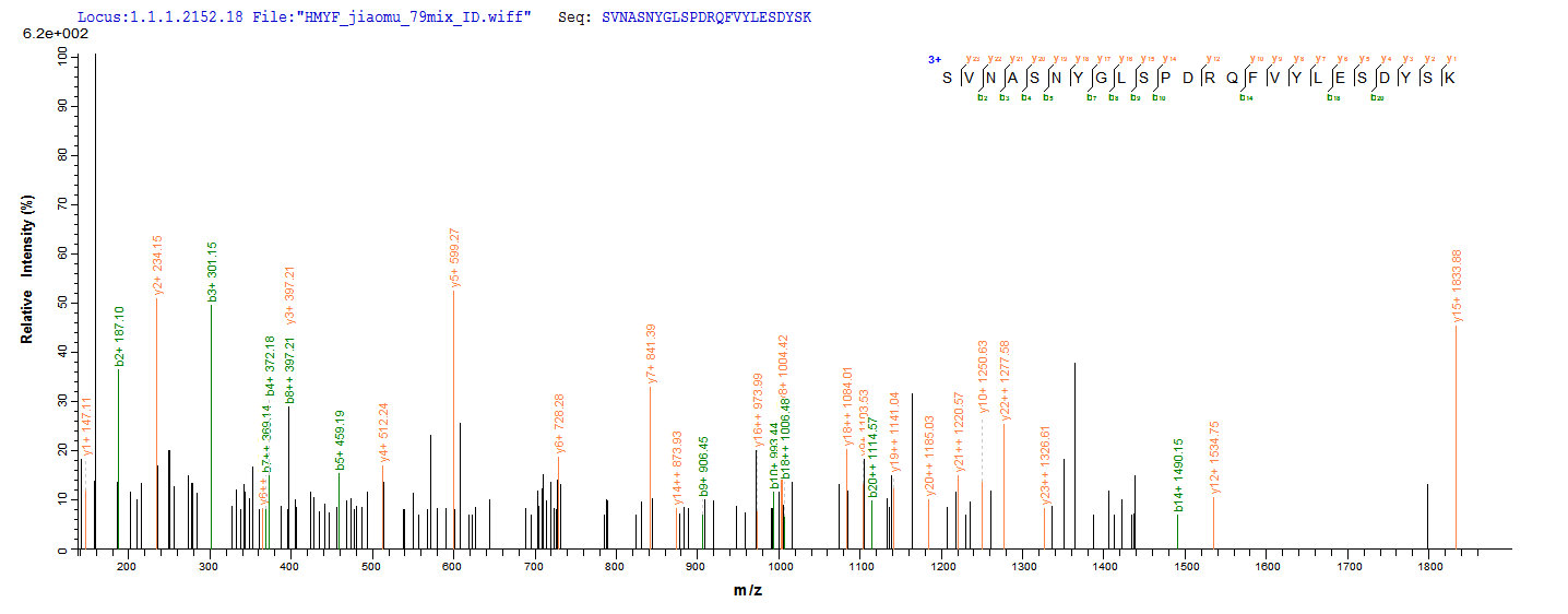 CSB-EP008424HU LCMS-1