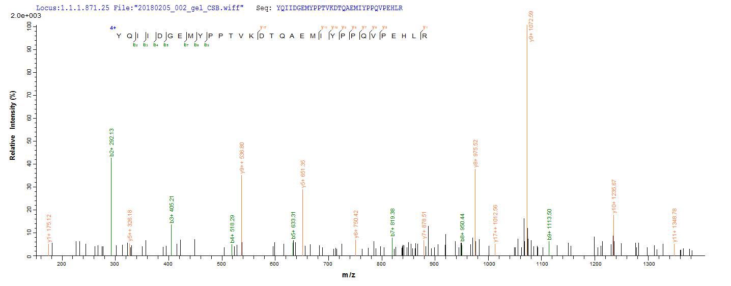 CSB-EP018986HU