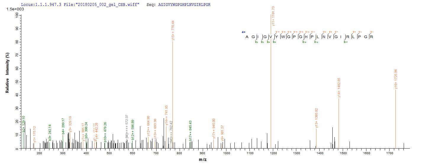 CSB-EP019801HU LC-MS/MS-2