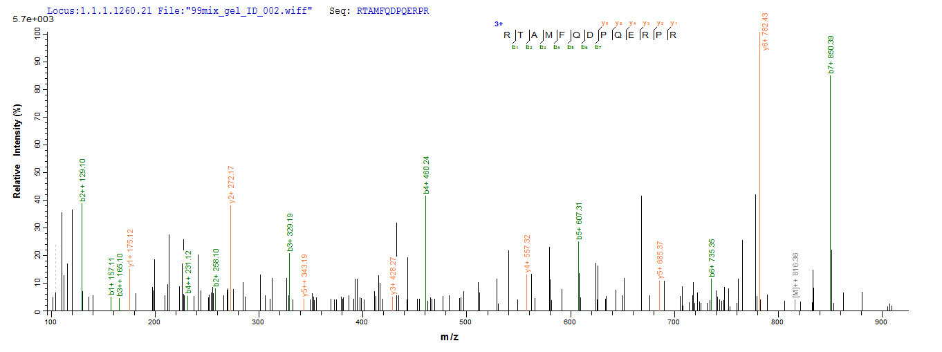 CSB-EP365854HML LC-MS-1