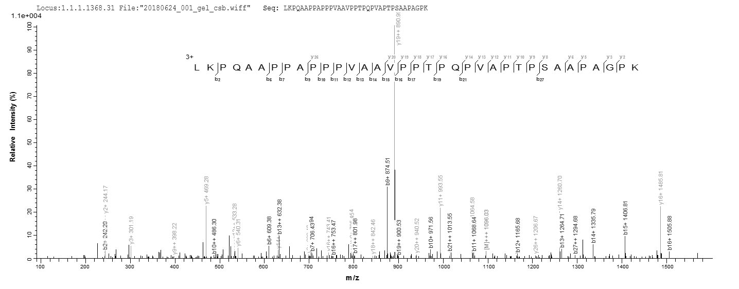 CSB-EP804374MOa0 LC-MS-1