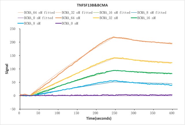 CSB-MP023974HU1 Activity Verified