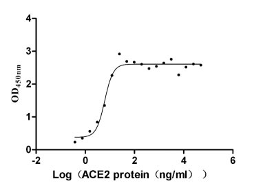 CSB-MP348663HQE ELISA