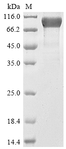 CSB-MP704410HU3