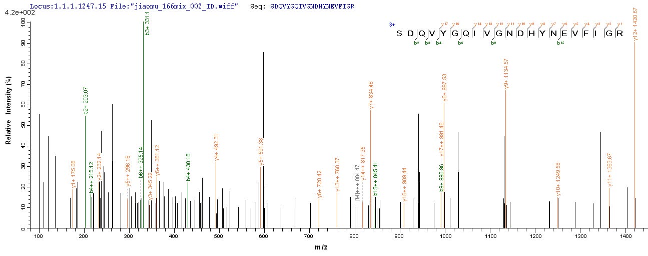 CSB-YP338957PQP LC-MS-1