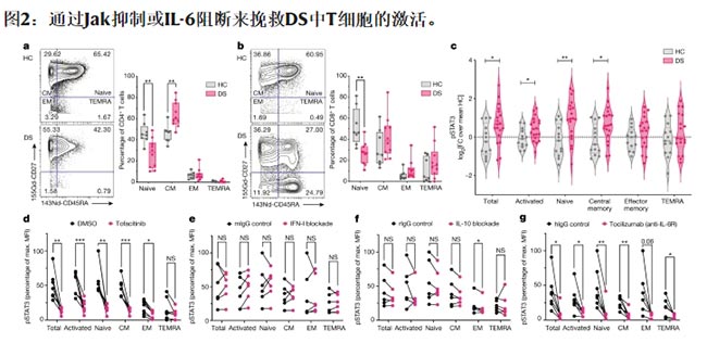 通过Jak抑制或IL-6阻断来挽救DS中T细胞的激活