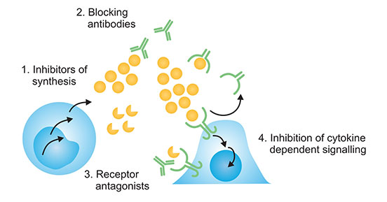 细胞因子抑制剂的特点