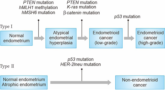 子宫内膜癌发生中的基因突变